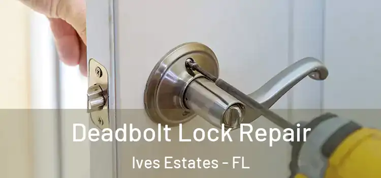 Deadbolt Lock Repair Ives Estates - FL