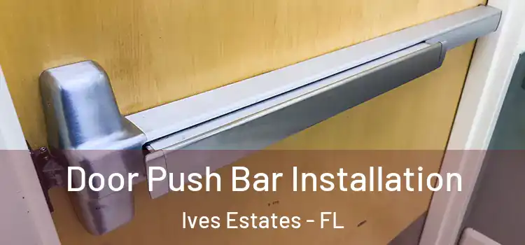 Door Push Bar Installation Ives Estates - FL
