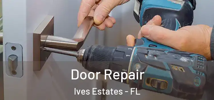 Door Repair Ives Estates - FL