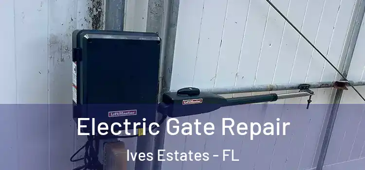 Electric Gate Repair Ives Estates - FL