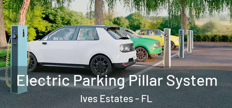 Electric Parking Pillar System Ives Estates - FL