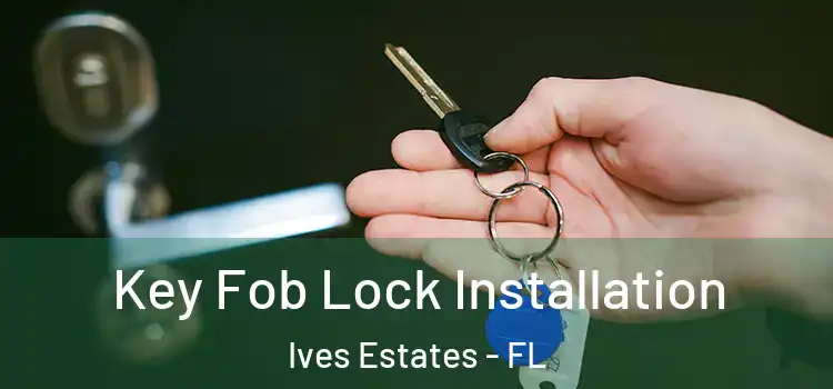 Key Fob Lock Installation Ives Estates - FL