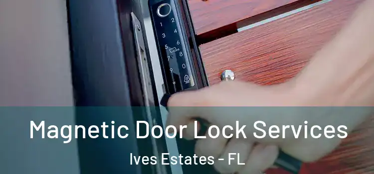 Magnetic Door Lock Services Ives Estates - FL